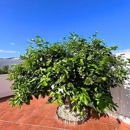 Casa Malihana Gran Canaria Apartment